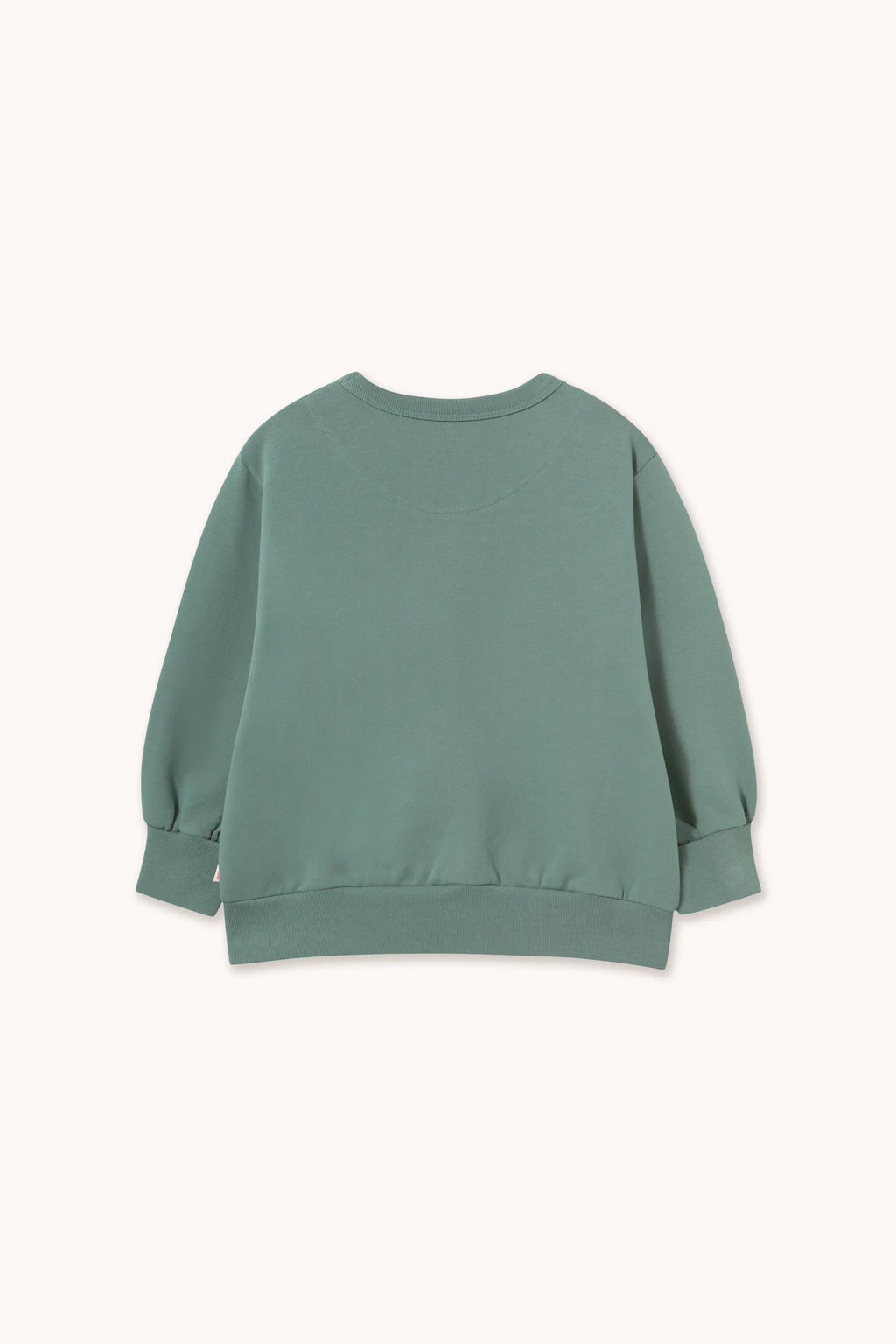 Tiny Cottons Two Dogs Sweatshirt - Teal