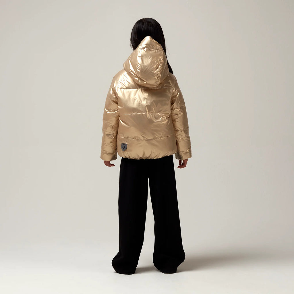 Flashy Dragon Gold Jas