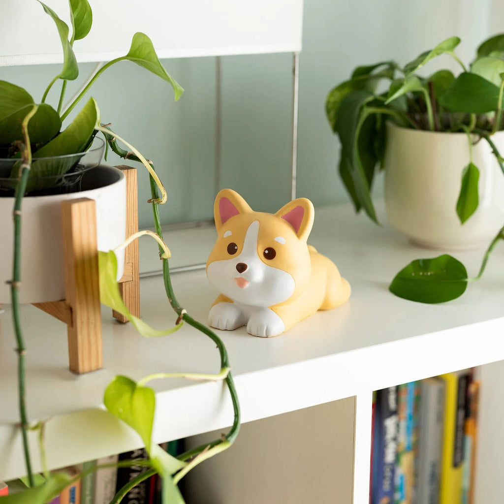 Stress Less - Antistress speelgoed - Corgi