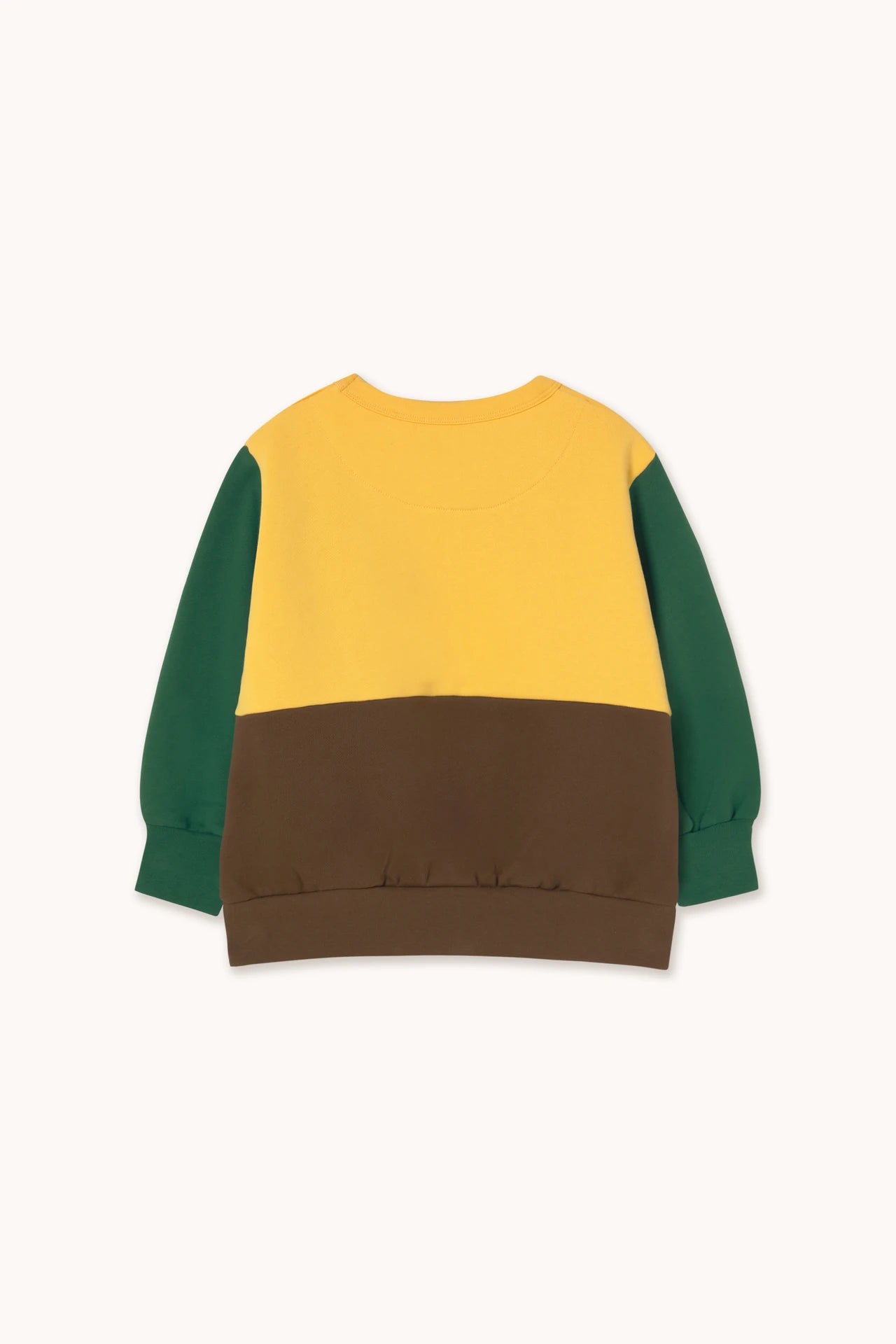Color Block Sweatshirt